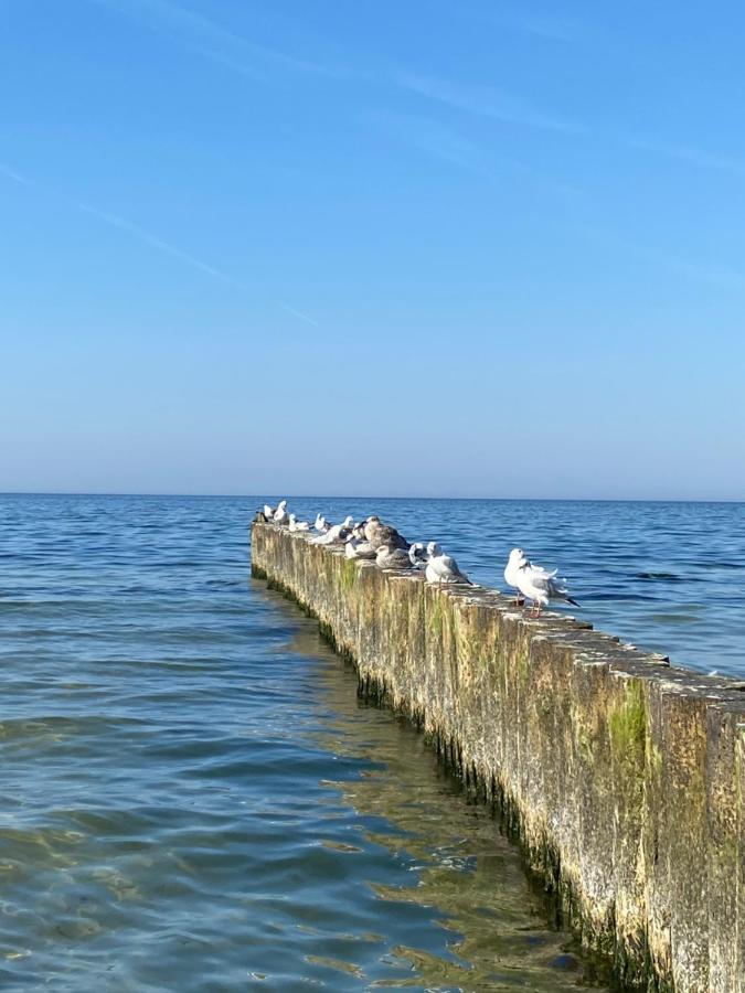 Apartament Kolobrzeg Resort Eksteriør bilde